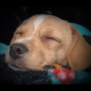 Meet your Posher, Jo